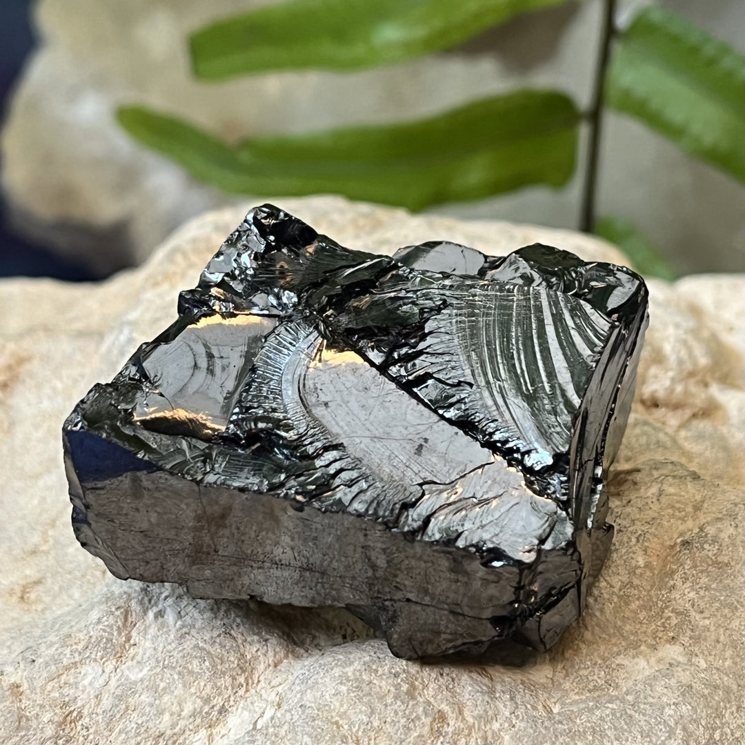 Shungite Noble Raw 4.2 cm | Carpe Diem With Remi