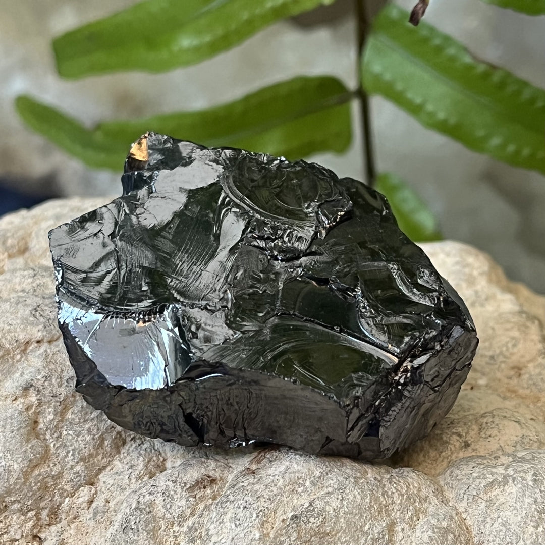 Shungite Noble Raw 4.8 cm | Carpe Diem With Remi