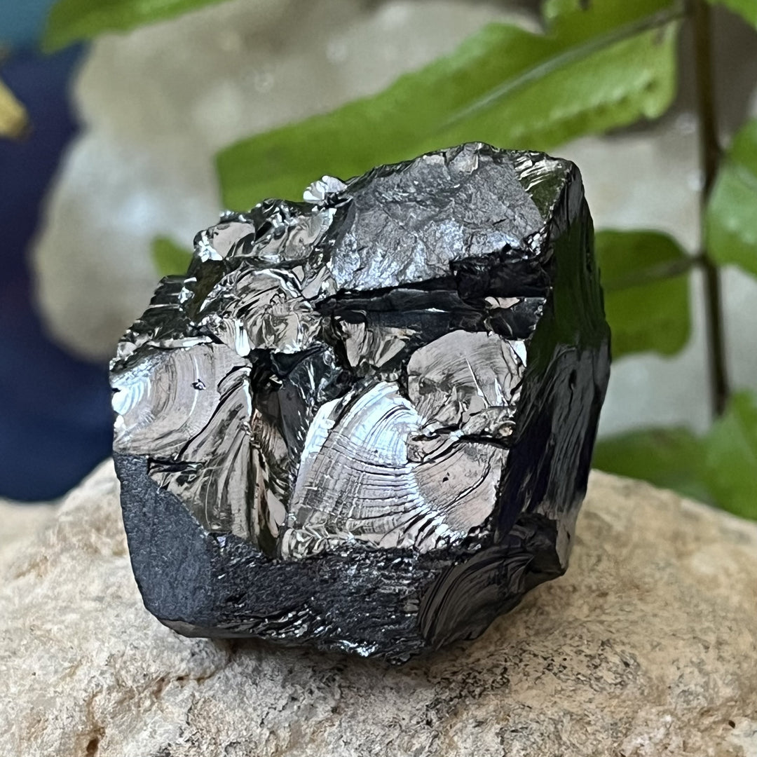 Shungite Noble Raw 3.2 cm | Carpe Diem With Remi