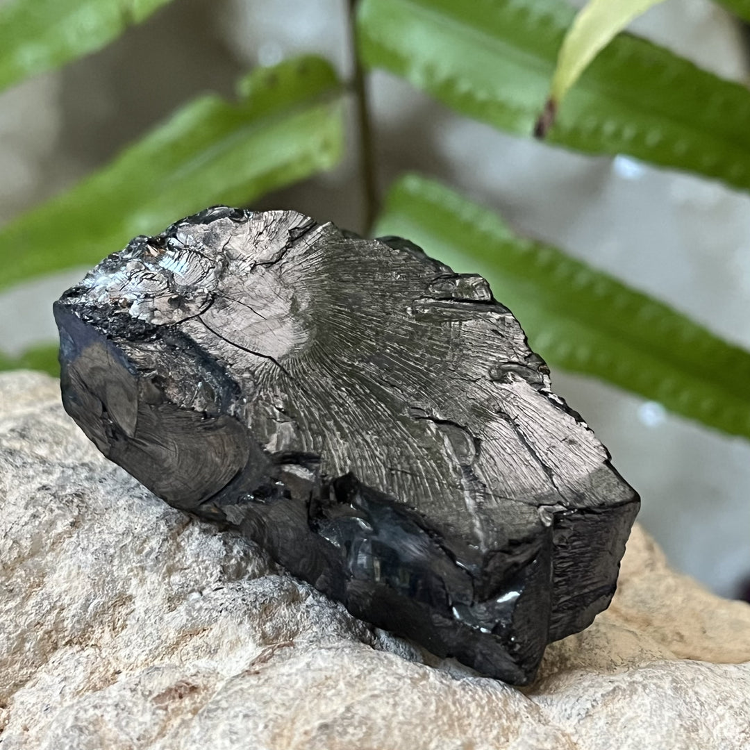 Shungite Noble Raw 4.6 cm | Carpe Diem With Remi