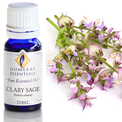 Clary Sage Essential Oil 10 ml | Carpe Diem with Remi