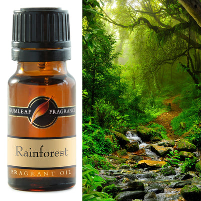 Fragrant Oil Gumleaf Rainforest | Carpe Diem With Remi
