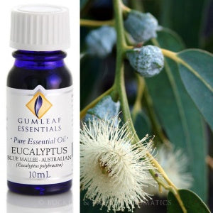 Eucalyptus | Mallee | Essential Oil | 10 ml | Carpe Diem with Remi