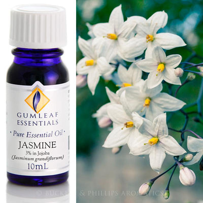 Jasmine Essential Oil Gumleaf 10 ml | Carpe Diem With Remi