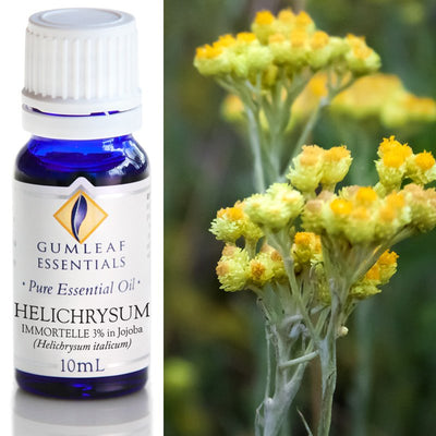 Helichrysum Essential Oil | Carpe Diem With Remi