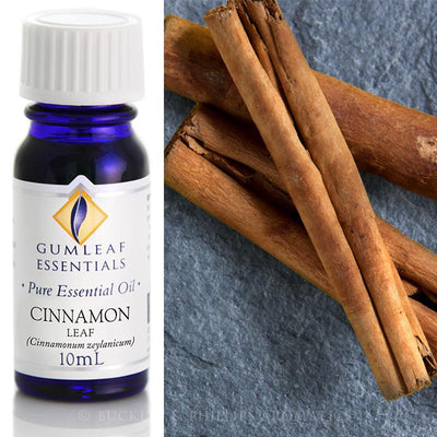 Cinnamon Essential Oil Gumleaf 10ml | Carpe Diem with Remi