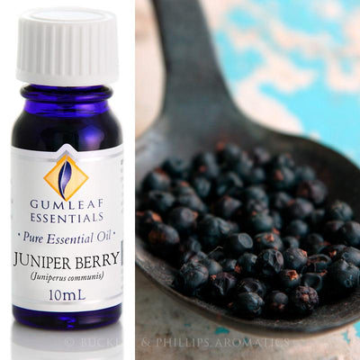 Juniper Berry Essential Oil Gumleaf 10 ml | Carpe Diem With Remi