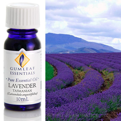 Lavender Tasmanian Essential Oil Gumleaf 10ml | Carpe Diem With Remi