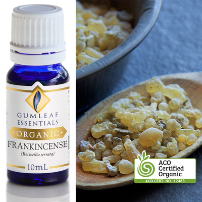 Frankincense Organic Essential Oil Gumleaf 10ml | Carpe Diem With Remi
