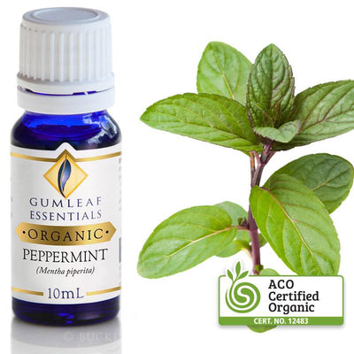 Peppermint Organic Essential Oil Gumleaf 10 ml | Carpe Diem With Remi