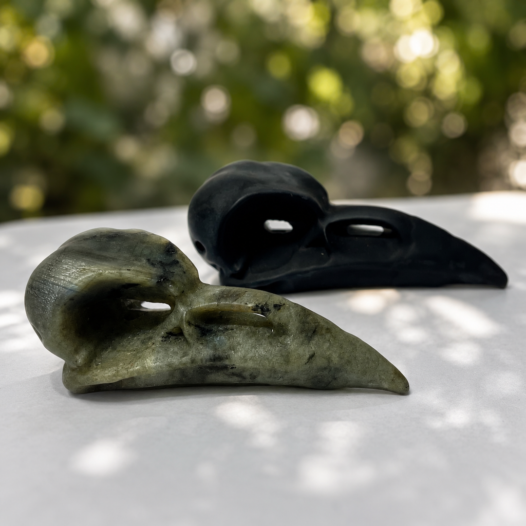 Raven Head Matte | Carpe Diem With Remi
