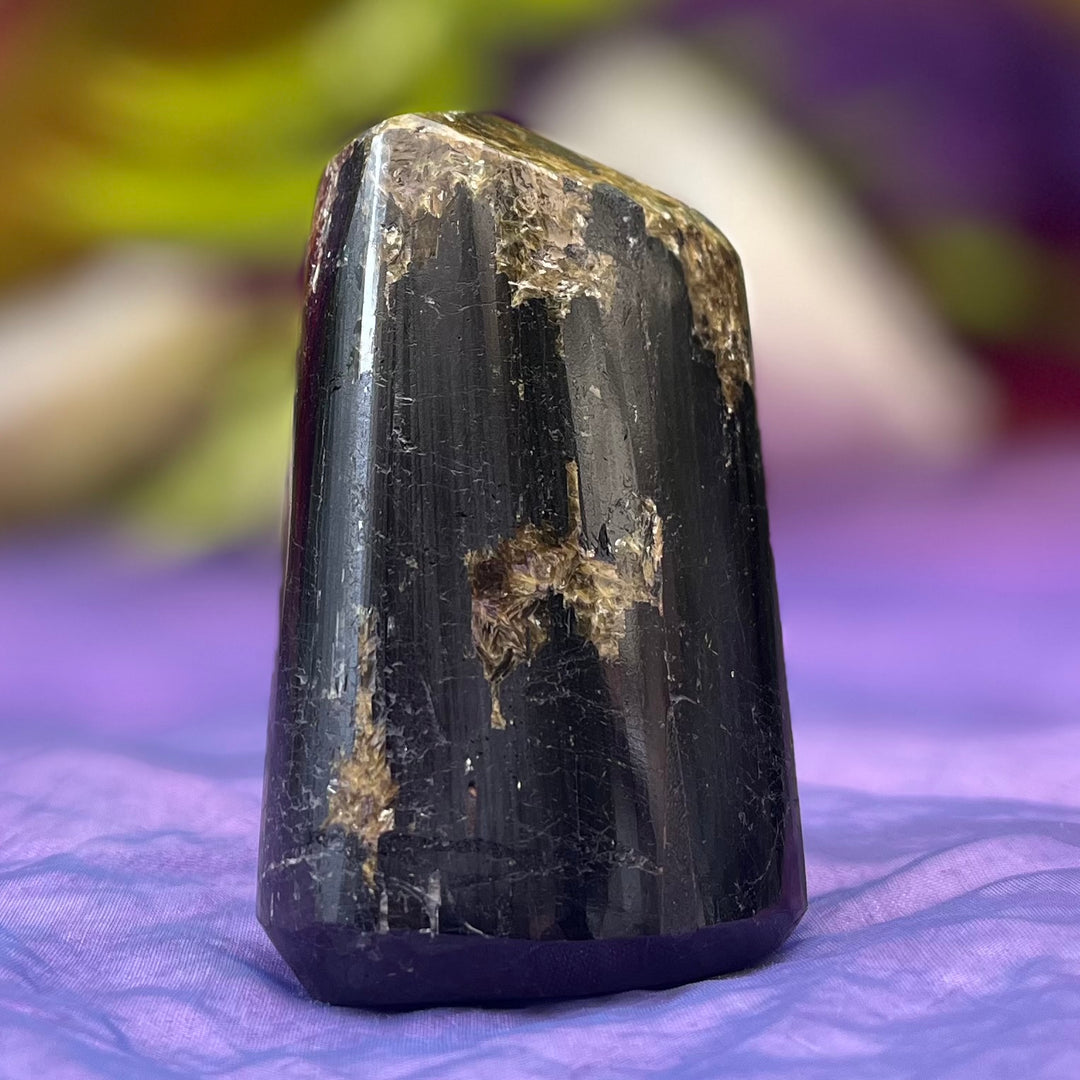 Tower Black Tourmaline with Inclusions 8.5 cm | Carpe Diem With Remi