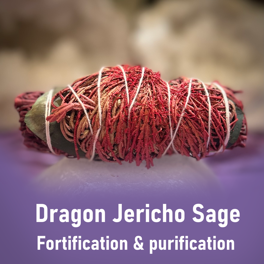 Smudge Stick Dragon Jericho Sage 10 cm