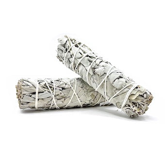 Smudge Stick White Sage 13 cm | Carpe Diem With Remi