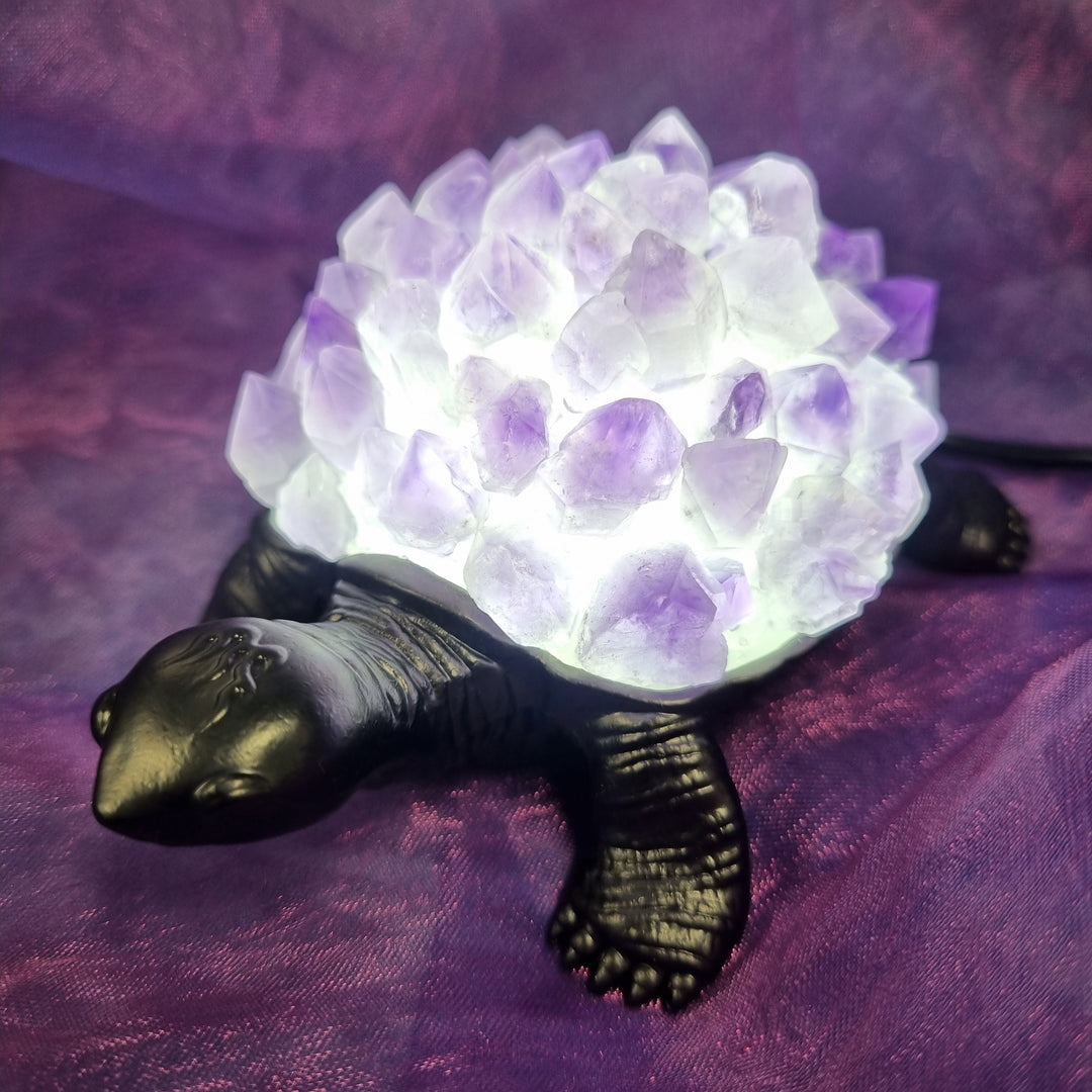 Turtle Light USB Amethyst Points | Carpe Diem with Remi