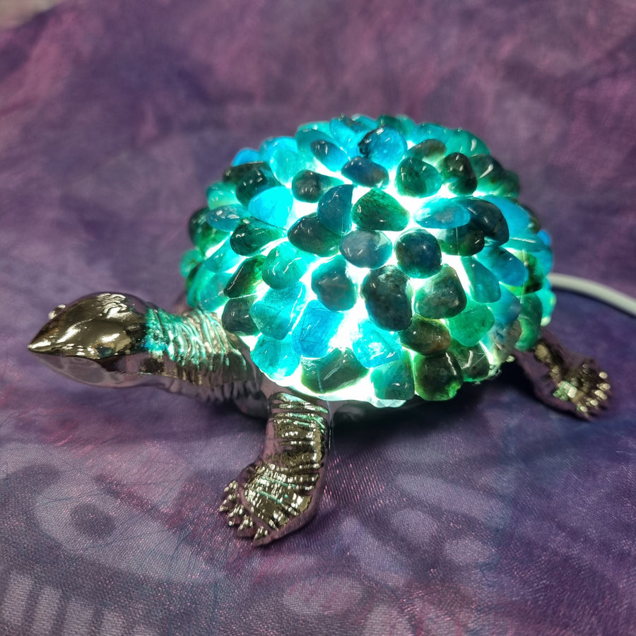 Turtle Light USB Apatite | Carpe Diem with Remi