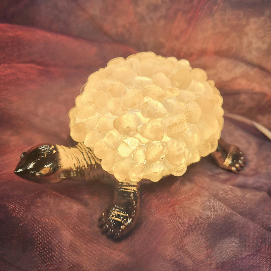 Turtle Light USB Rose Quartz | Carpe Diem with Remi