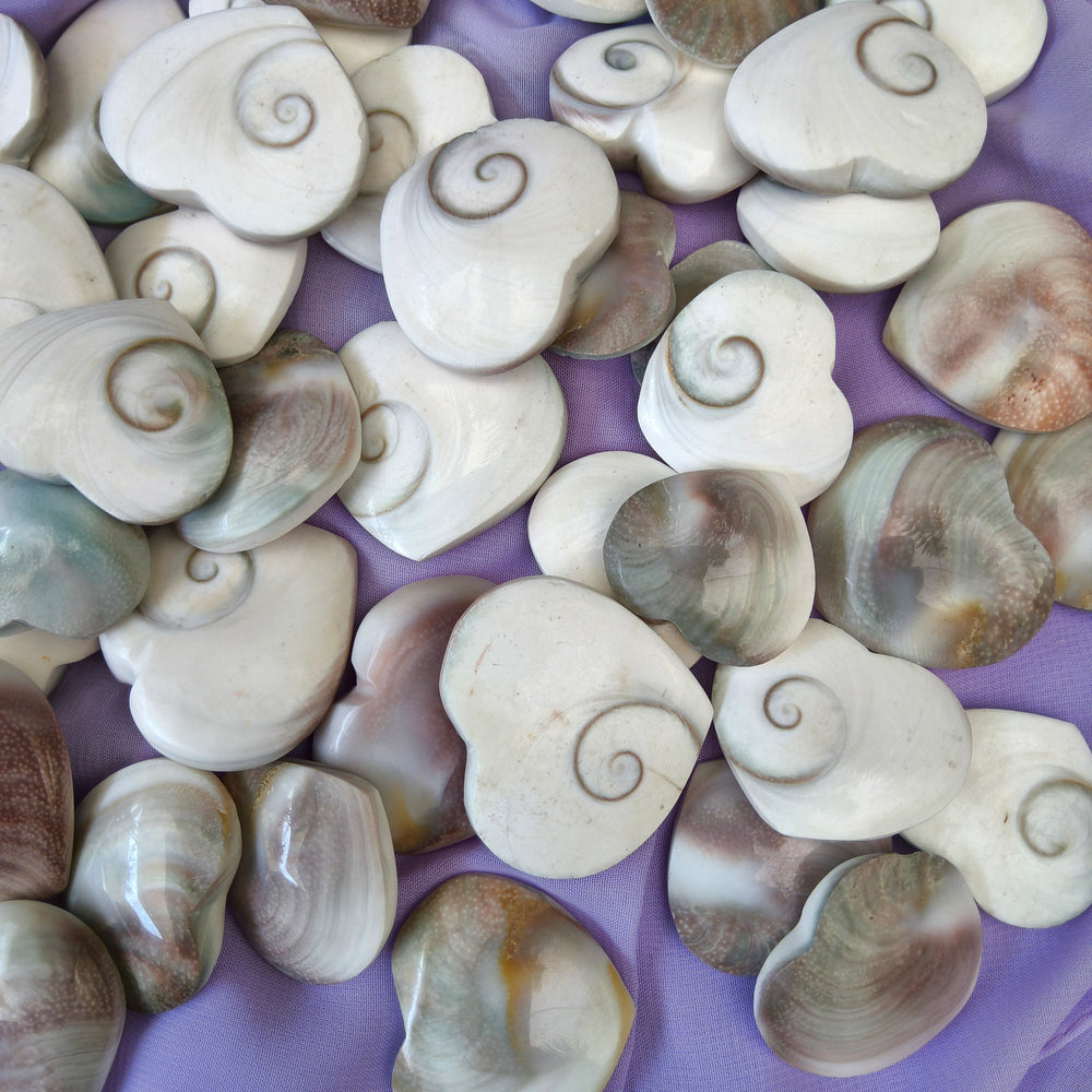 Shiva Eye Shells of Protection | Carpe Diem with Remi