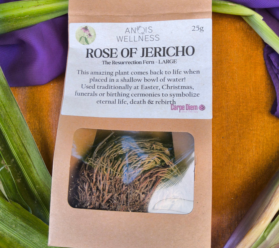 Herb Rose of Jericho 25g | Carpe Diem With Remi