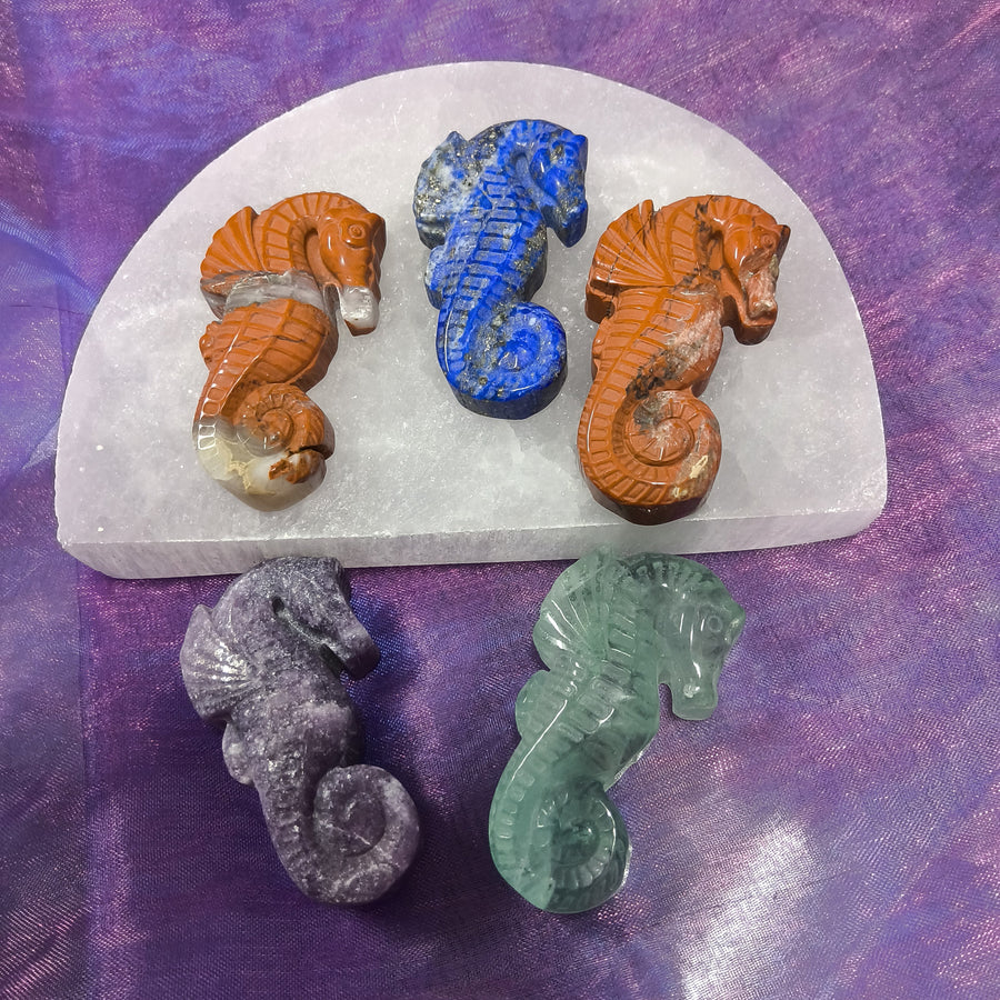 Seahorse Mini Crystal | Carpe Diem with Remi