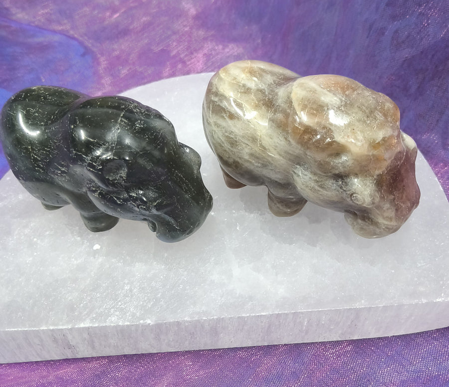 Hippopotamus Carving Mini | Carpe Diem with Remi