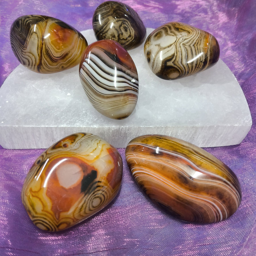 Sardonyx Palm Stone Freeform | Carpe Diem with Remi