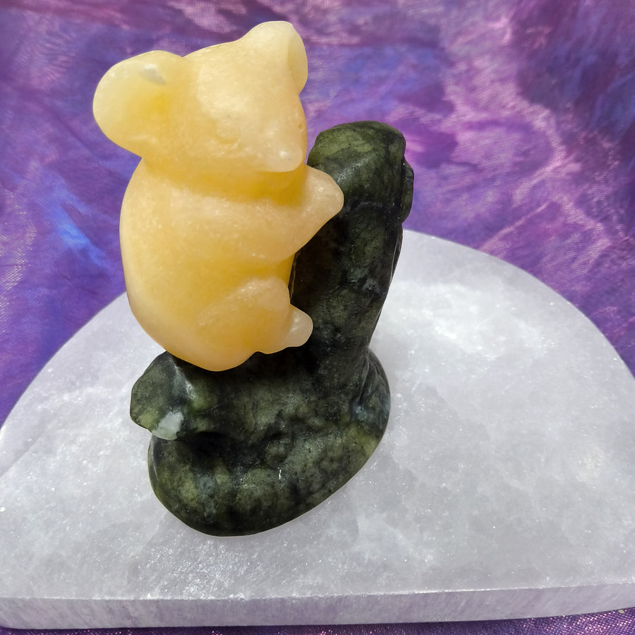 Koala Bear Calcite on Jasper Branch | Carpe Diem with Remi
