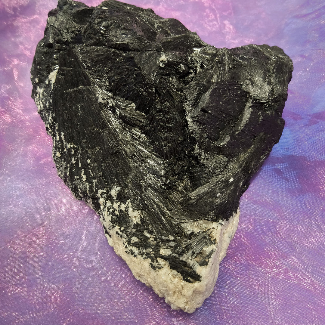 Black Tourmaline Raw from Tasmania XL | Carpe Diem with Remi