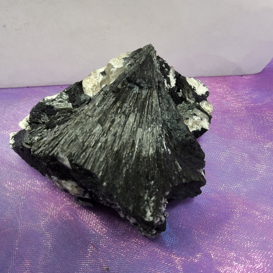 Black Tourmaline Fan on Matrix | Carpe Diem with Remi