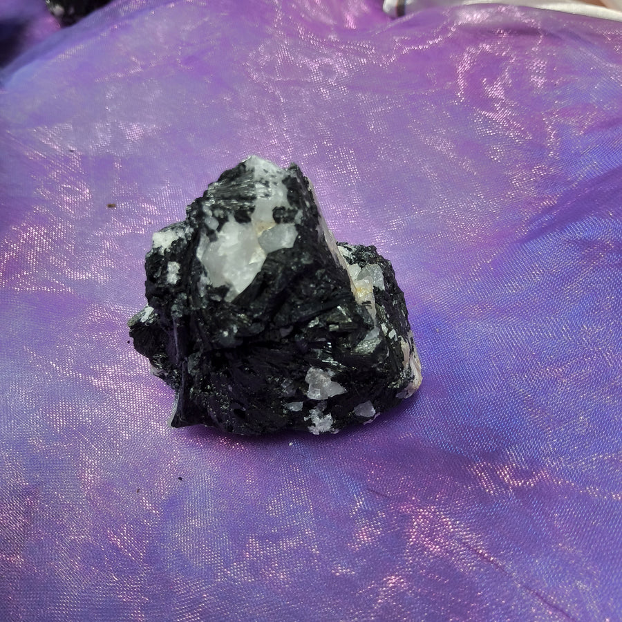 Black Tourmaline Tasmania 4.5cm | Carpe Diem with Remi