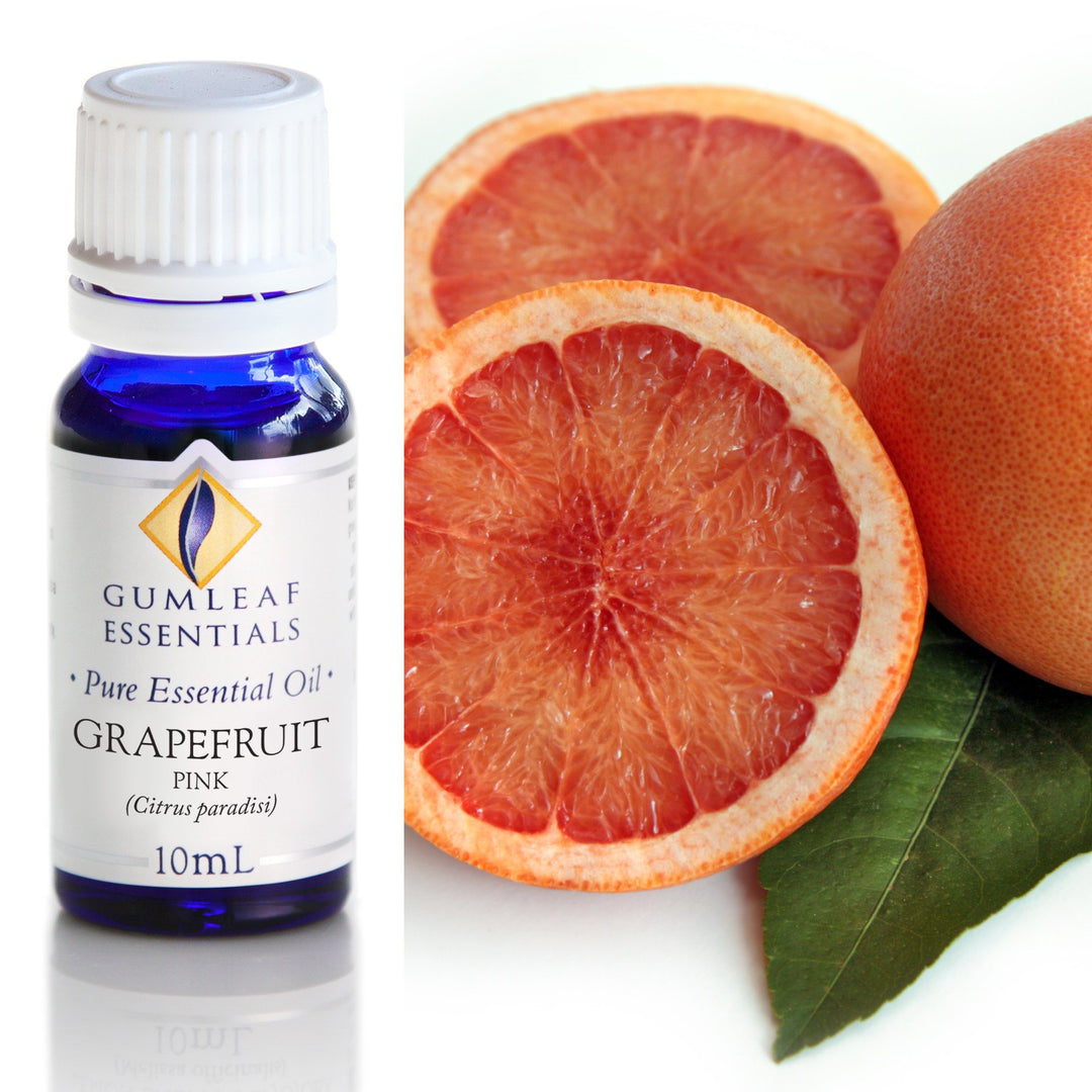 Grapefruit Pink Essential Oil Gumleaf 10ml