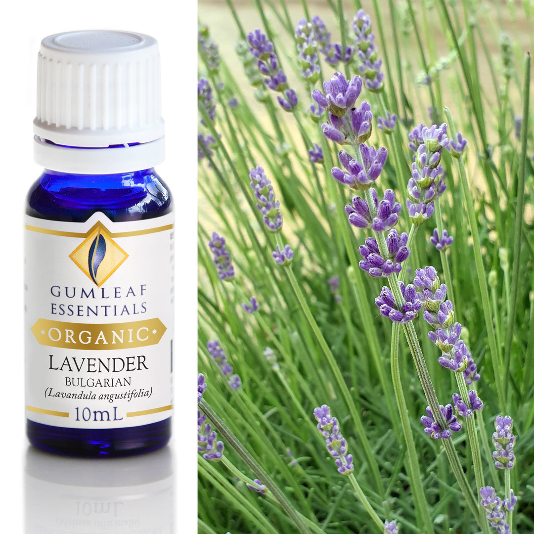 Lavender Bulgarian Organic 100 ml | Carpe Diem With Remi