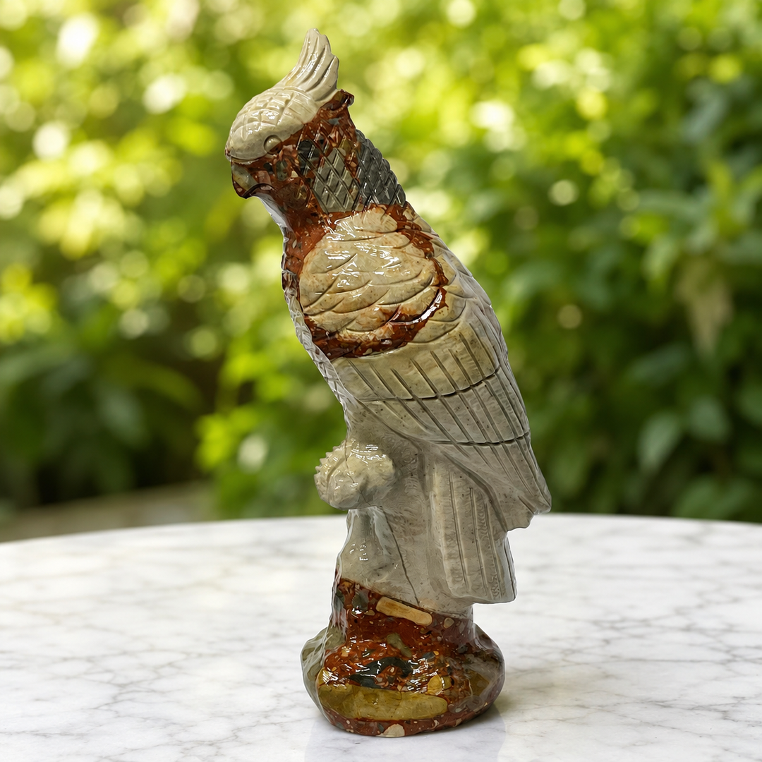 Parrot Polychrome Jasper 20 cm - Instore Only