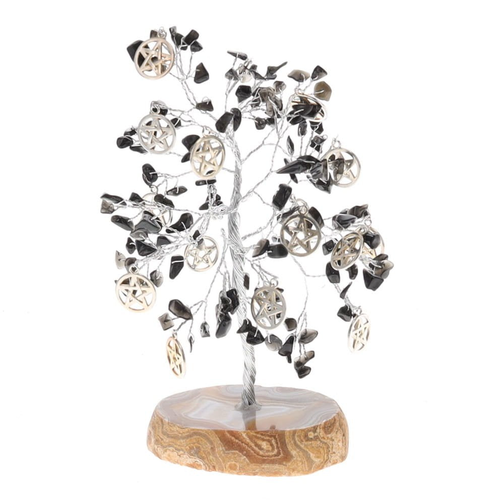 Wish Tree Black Agate Power Pentacle Agate Base