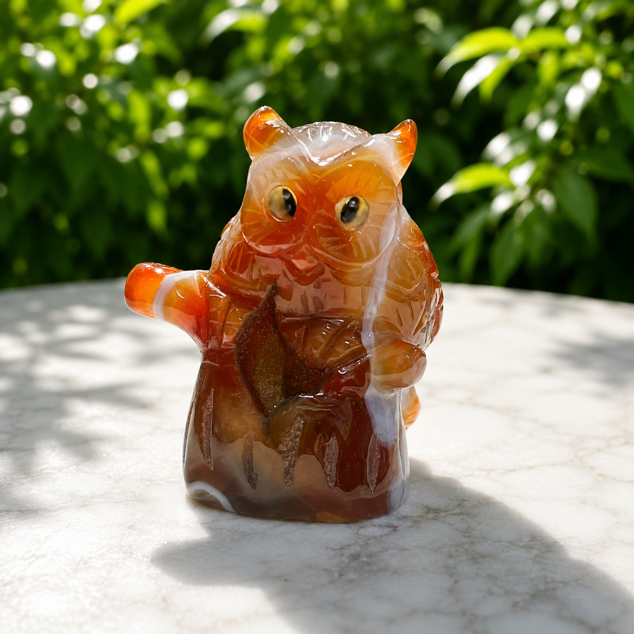Owl Druzy Carnelian on Branch 6.3 cm | Carpe Diem With Remi