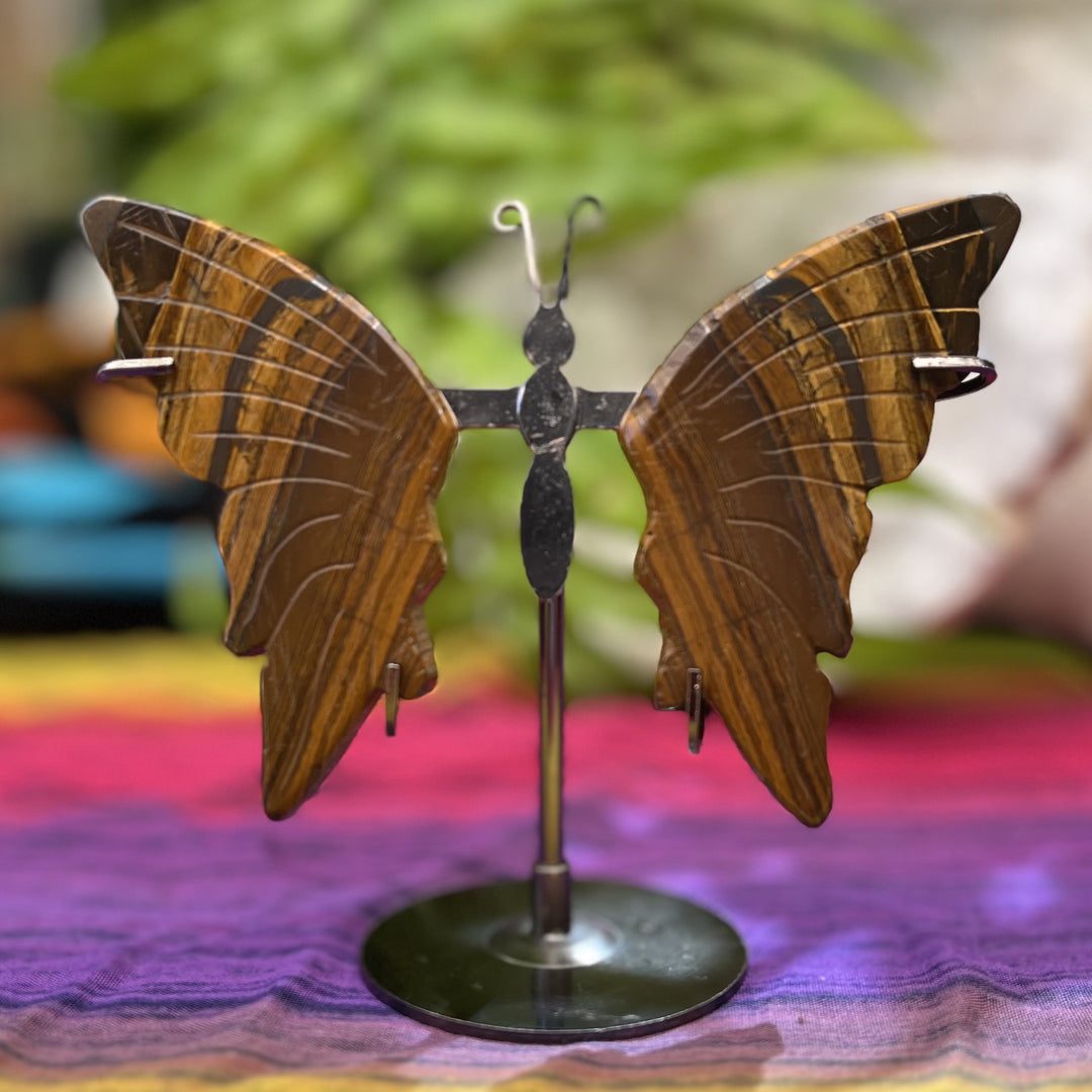 Butterfly Tiger Eye Gold on Stand