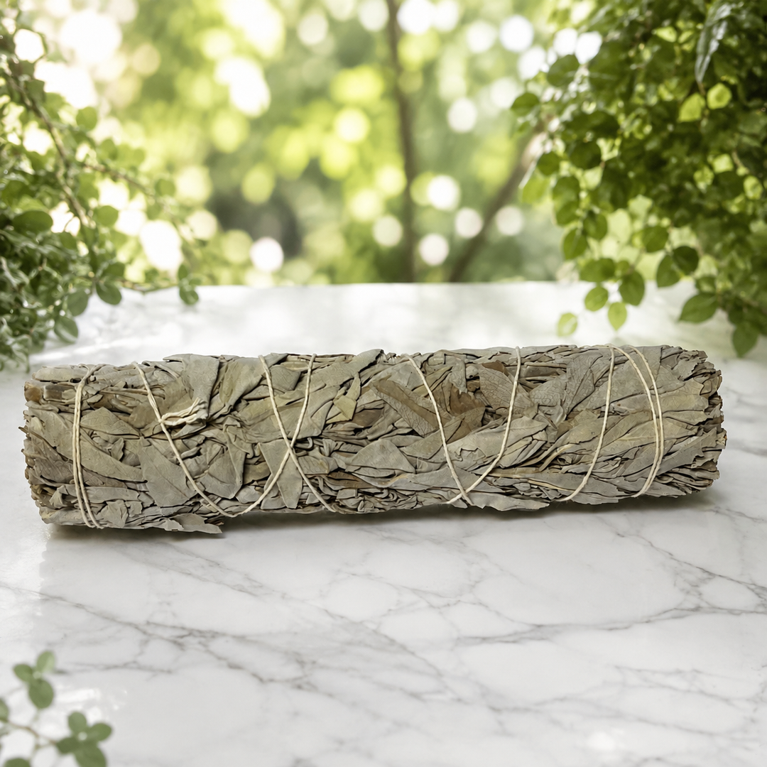 Smudge Stick White Sage Jumbo 21 cm