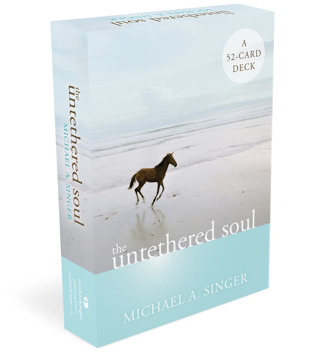 Untethered Soul | Carpe Diem With Remi