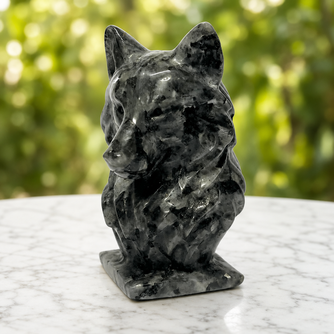 Wolf Head Larvakite 10.3 cm