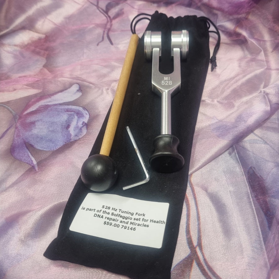 Tuning Fork 528 Hz Weighted Miracles | Carpe Diem with Remi