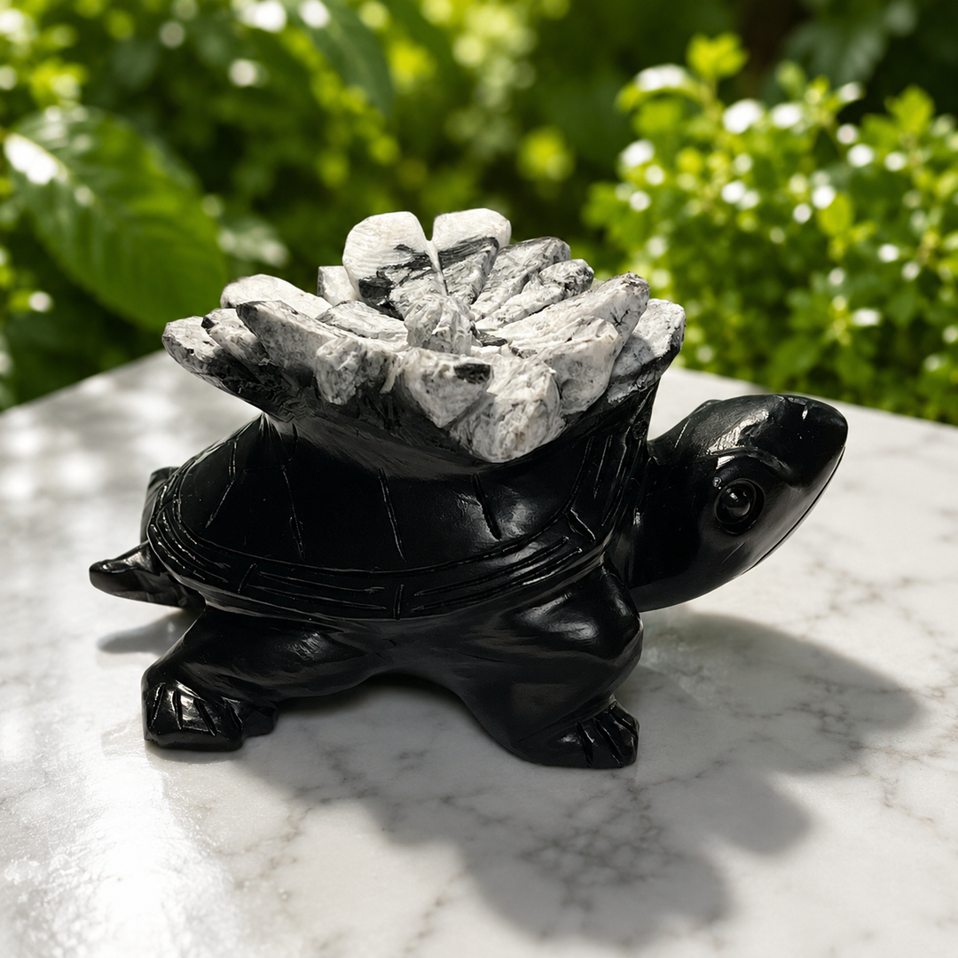 Turtle Chrysanthemum Stone