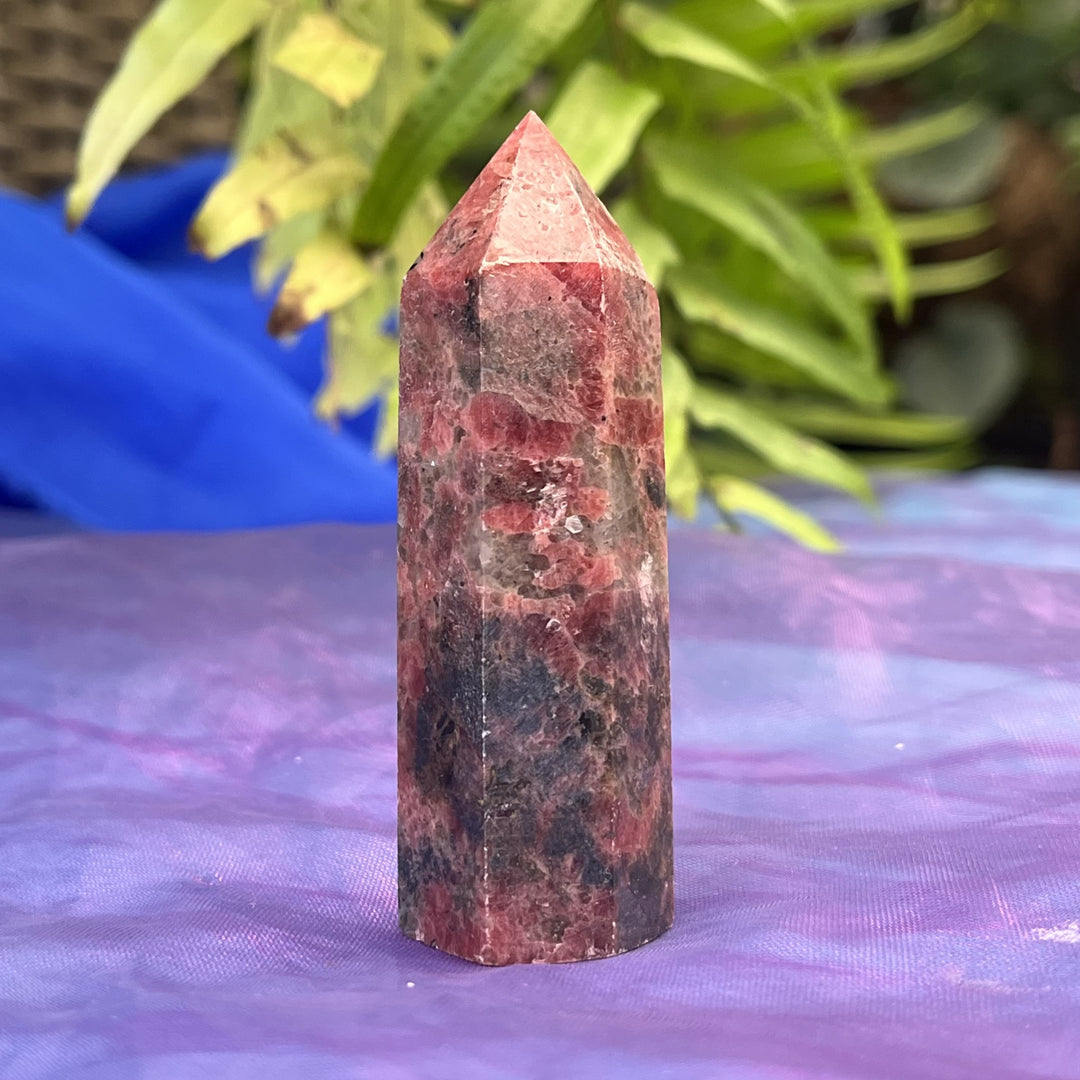 Point Rhodonite 7.6 cm