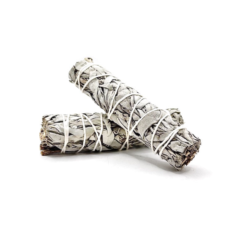Smudge Stick Small 10 cm White Sage | Carpe Diem with Remi