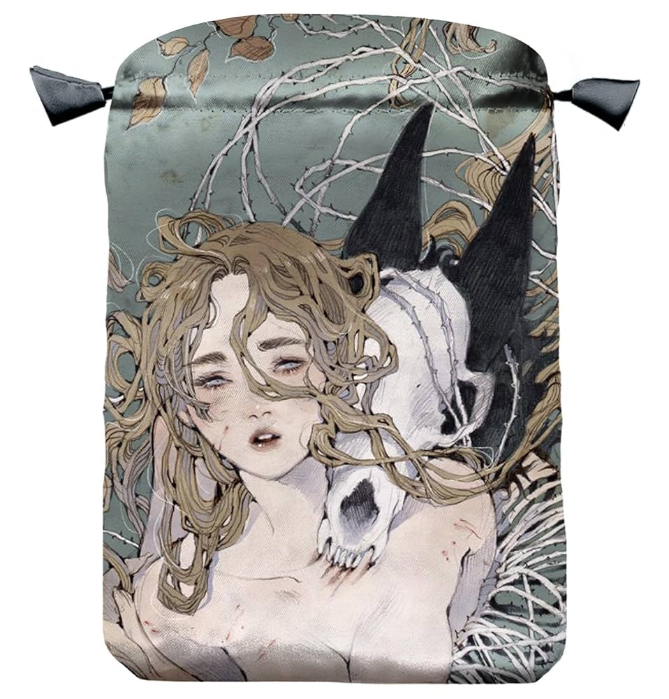 Tarot Bag Loputyn Was $24