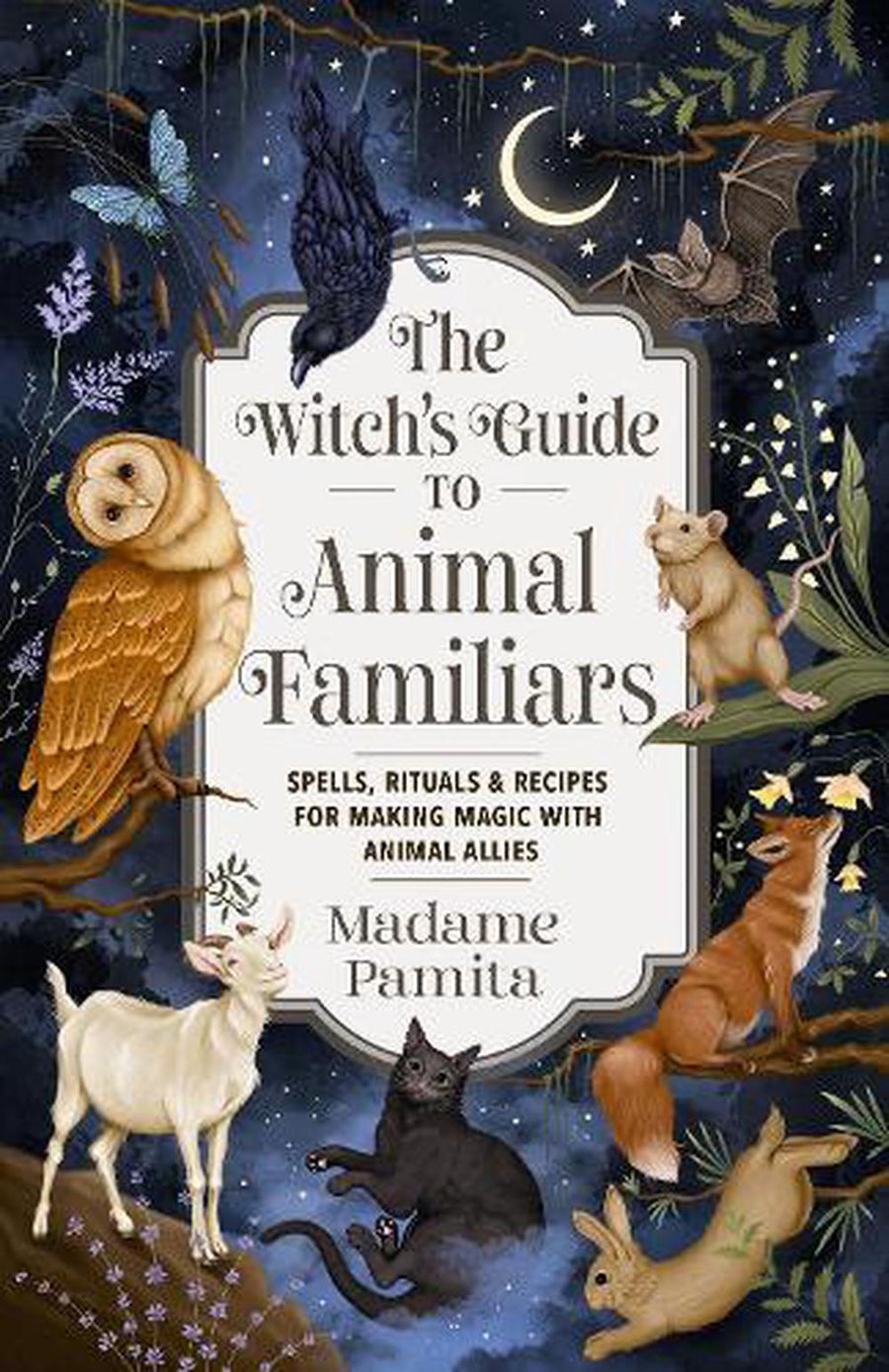 The Witches Guide to Animal Familiars | Carpe Diem With Remi Port Adelaide