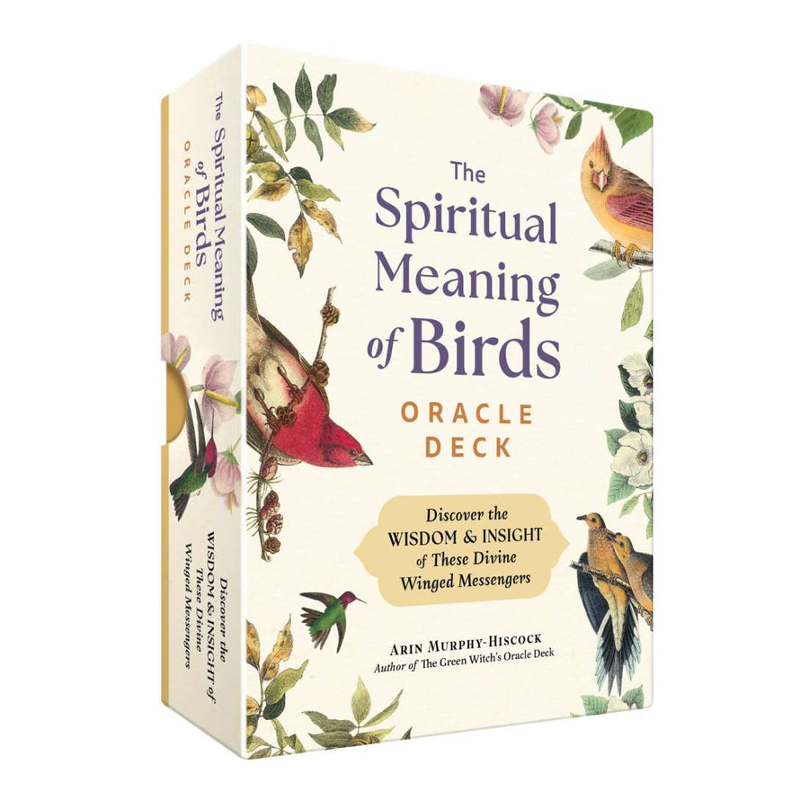 Spiritual Meaning of Birds Oracle Deck | Carpe Diem with Remi