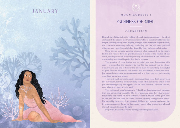2027 Moon Goddess Diary Southern Hemisphere | Carpe Diem With Remi