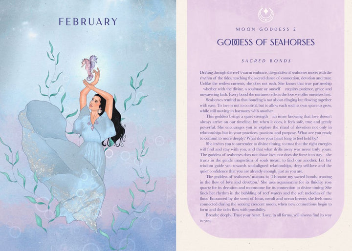 2027 Moon Goddess Diary Southern Hemisphere | Carpe Diem With Remi