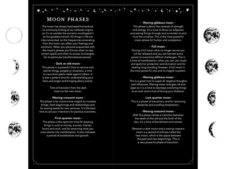 2027 Witch's Diary Southern Hemisphere | Carpe Diem With Remi