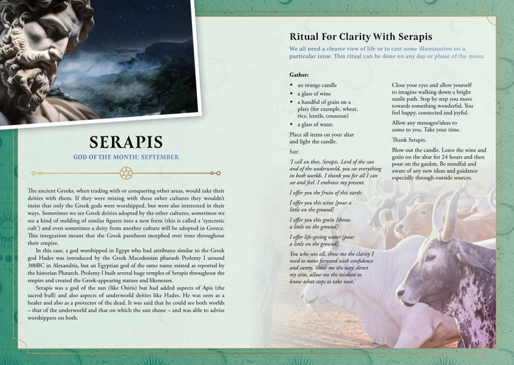 2027 Lunar and Seasonal Diary Southern Hemisphere | Carpe Diem With Remi